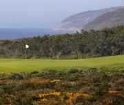 West Cliffs Golf Links (12)