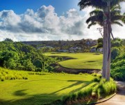 Golf-in-Barbados_feecc3ba1e922e7e5481c910bbd74eb0