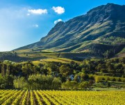 cape-winelands-south-africa-1920x1080